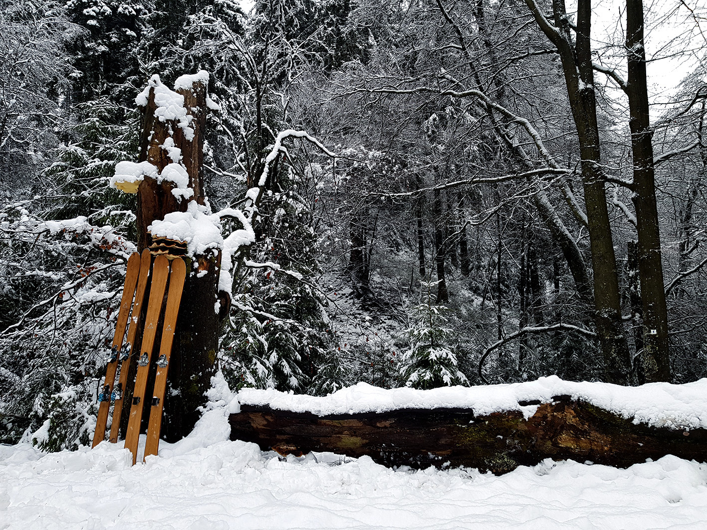 Blackcomb 90 - Gallery 9